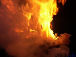 beispielname_bitte_aumln_20191204_1774558852